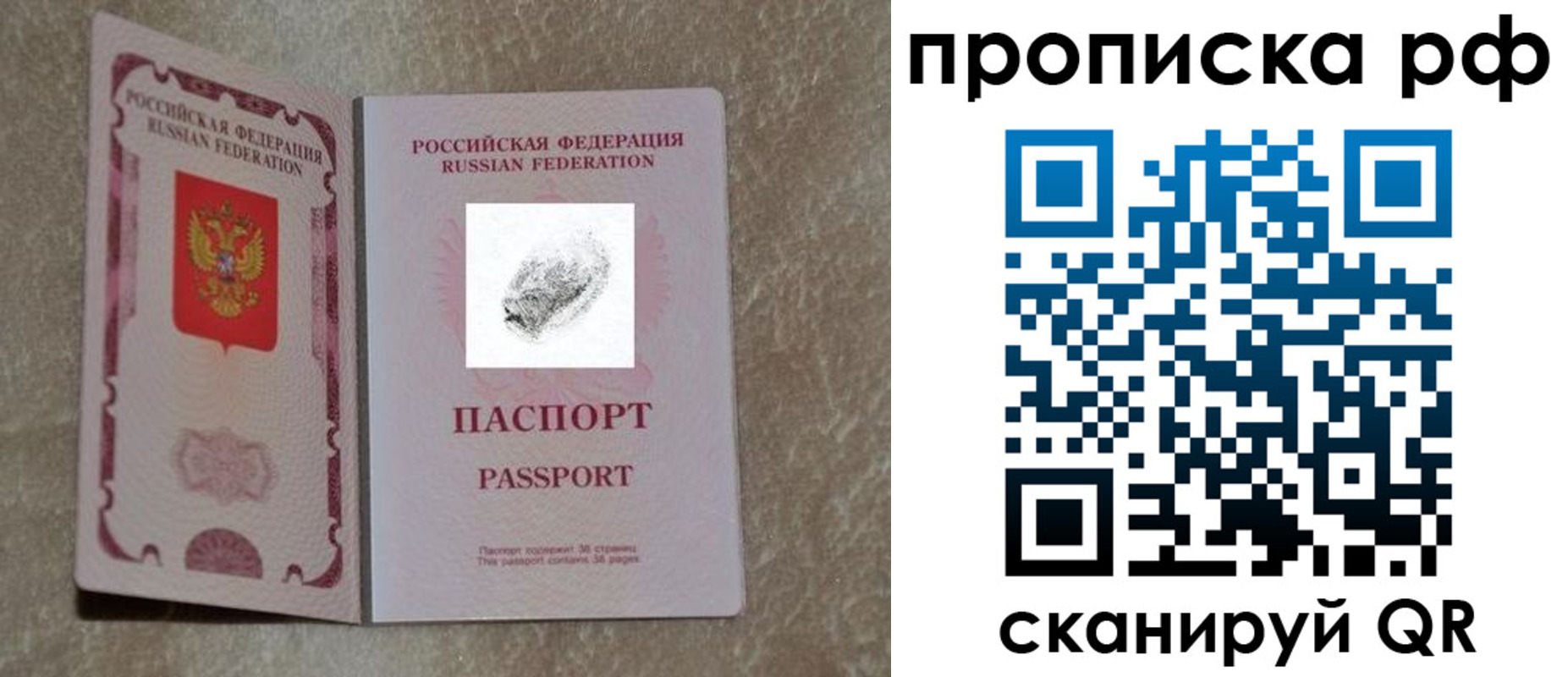 прописка поиск в Кохме
